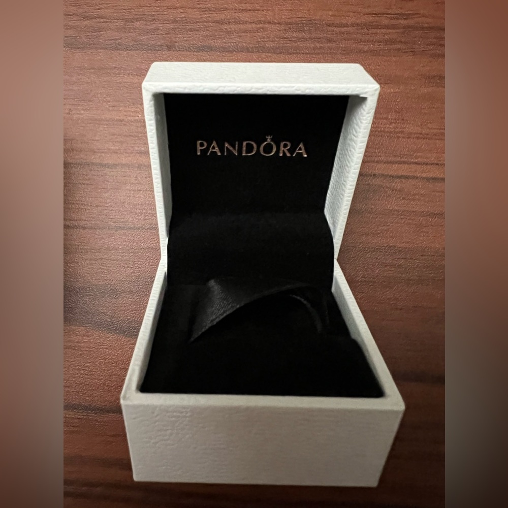 Small Pandora Jewelry Box